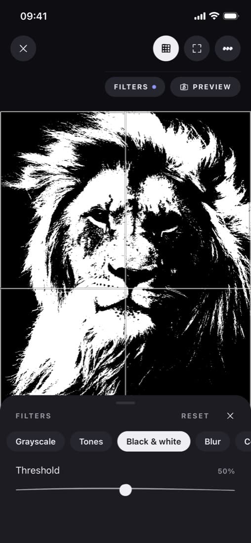 Black and white filter on a lion photo